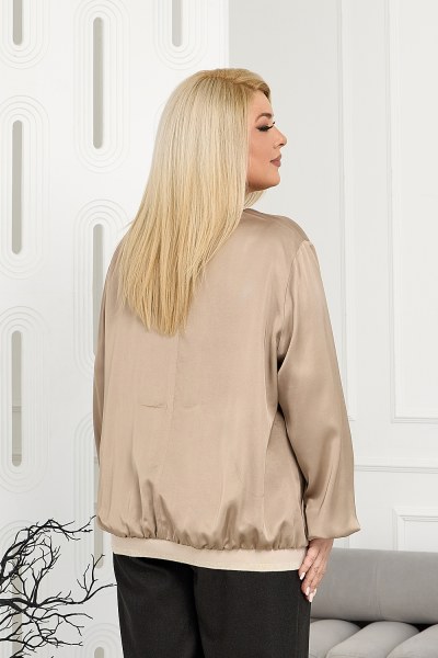 Блуза Альберта тк.63-020388-2696-66